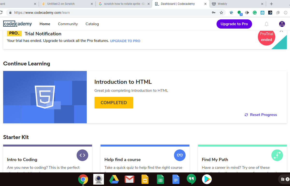 learn by completing coding projects