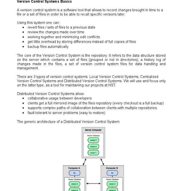 version control setup for beginners