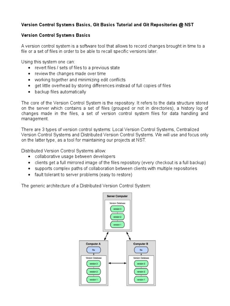 version control setup for beginners
